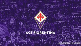 维罗纳尤文图斯赛季焦点对决：比赛前瞻与分析